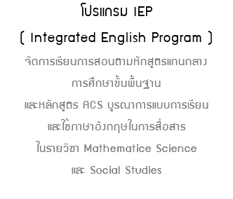 โปรแกรม IEP ( Integrated English Program ) จัดการเรียนการสอนตามหักสูตรแกนกลาง การศึกษาขั้นพื้นฐาน และหลักสูตร ACS บูรณาการแบบการเรียน และใช้ภาษาอังกฤษในการสื่อสาร ในรายวิชา Mathematice Science และ Social Studies 