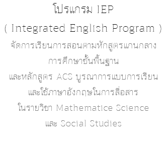 โปรแกรม IEP ( Integrated English Program ) จัดการเรียนการสอนตามหักสูตรแกนกลาง การศึกษาขั้นพื้นฐาน และหลักสูตร ACS บูรณาการแบบการเรียน และใช้ภาษาอังกฤษในการสื่อสาร ในรายวิชา Mathematice Science และ Social Studies 