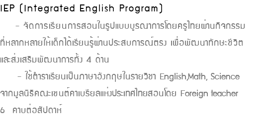 IEP (Integrated English Program) - จัดการเรียนการสอนในรูปแบบบูรณาการโดยครูไทยผ่านกิจกรรม ที่หลากหลายให้เด็กได้เรียนรู้ผ่านประสบการณ์ตรง เพื่อพัฒนาทักษะชีวิต และส่งเสริมพัฒนาการทั้ง 4 ด้าน - ใช้ตำราเรียนเป็นภาษาอังกฤษในรายวิชา English,Math, Science จากมูลนิธิคณะเซนต์คาเบรียลแห่งประเทศไทยสอนโดย Foreign teacher 6 คาบต่อสัปดาห์