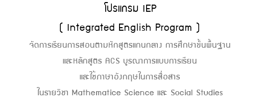 โปรแกรม IEP ( Integrated English Program ) จัดการเรียนการสอนตามหักสูตรแกนกลาง การศึกษาขั้นพื้นฐาน และหลักสูตร ACS บูรณาการแบบการเรียน และใช้ภาษาอังกฤษในการสื่อสาร ในรายวิชา Mathematice Science และ Social Studies 