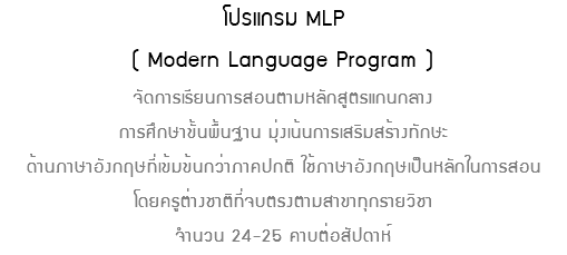 โปรแกรม MLP ( Modern Language Program ) จัดการเรียนการสอนตามหลักสูตรแกนกลาง การศึกษาขั้นพื้นฐาน มุ่งเน้นการเสริมสร้างทักษะ ด้านภาษาอังกฤษที่เข้มข้นกว่าภาคปกติ ใช้ภาษาอังกฤษเป็นหลักในการสอน โดยครูต่างชาติที่จบตรงตามสาขาทุกรายวิชา จำนวน 24-25 คาบต่อสัปดาห์