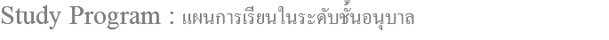 Study Program : แผนการเรียนในระดับชั้นอนุบาล